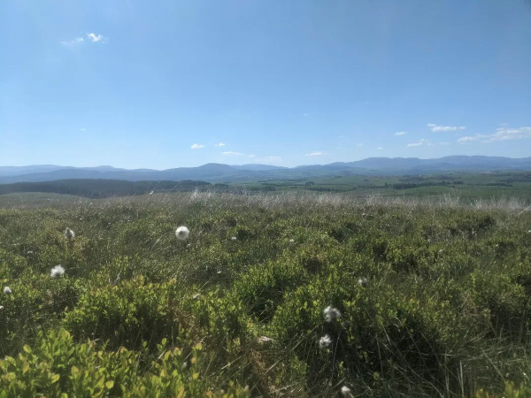 The same hills, but on a good day